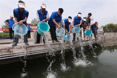 放魚|「全國放魚日」來了！港深兩地共護海洋生態 數百萬魚苗安家深。